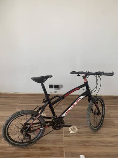 Bicycle with gears