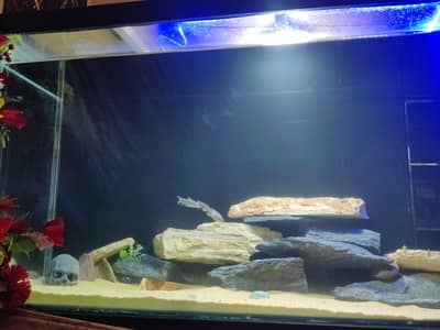 Aluminum Frame Aquarium 5ft