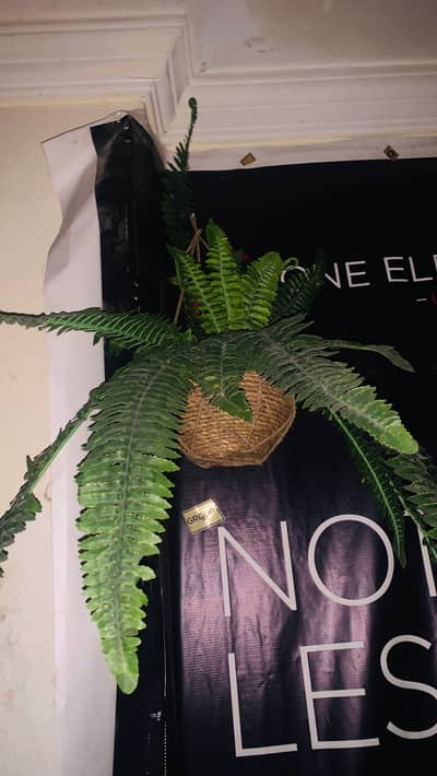 ARTIFICIAL DECORATIONS plants