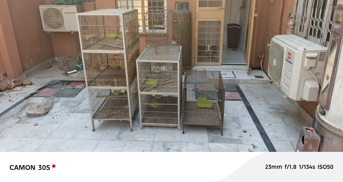 3 cages for sale