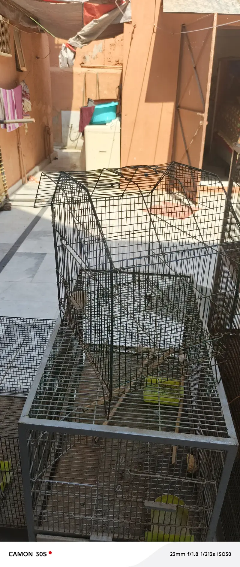 3 cages for sale — photo 2