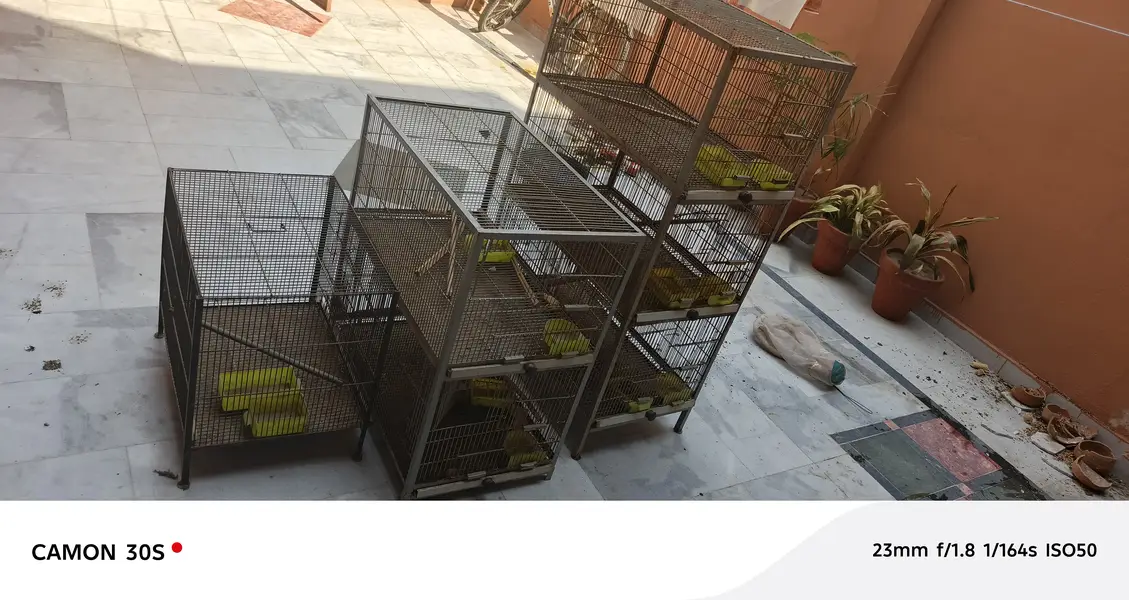 3 cages for sale — photo 3