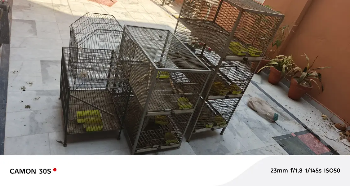 3 cages for sale — photo 5