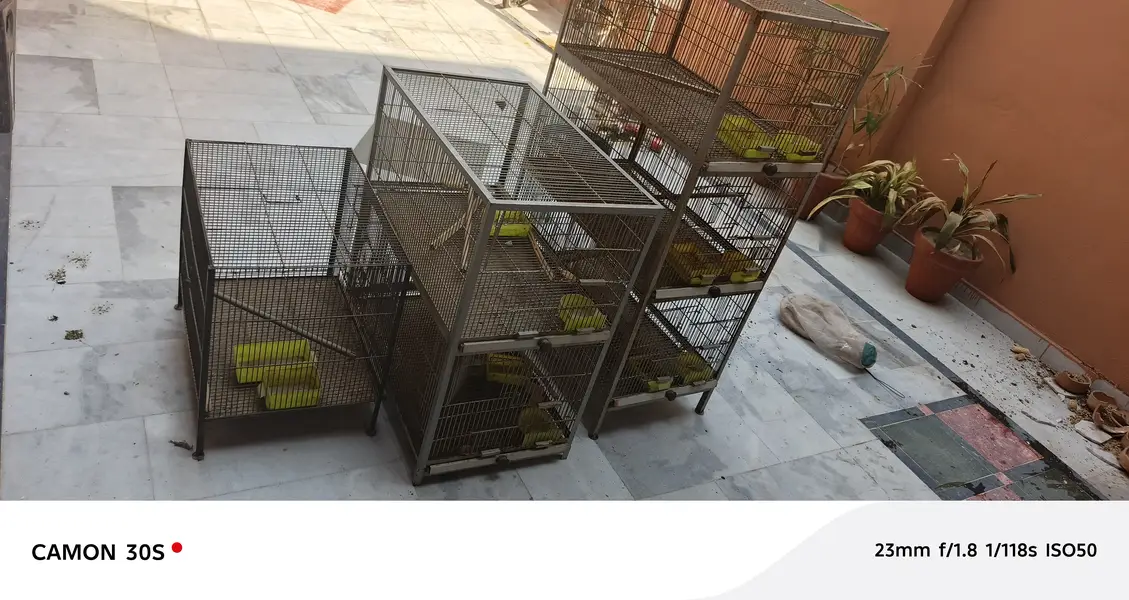 3 cages for sale — photo 7