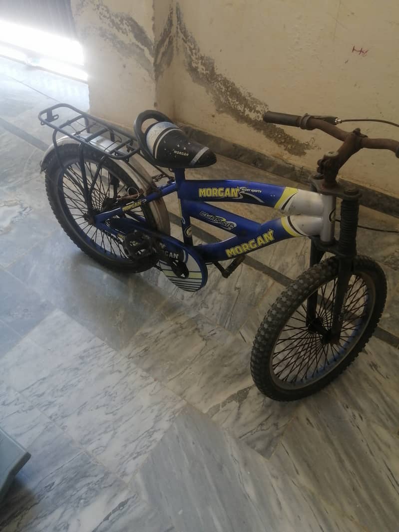 Morgan cycle 0