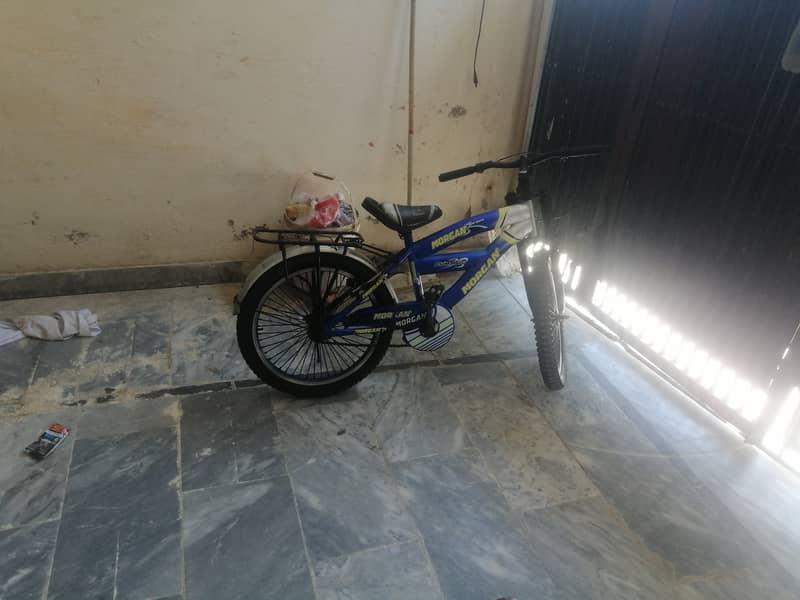 Morgan cycle 1