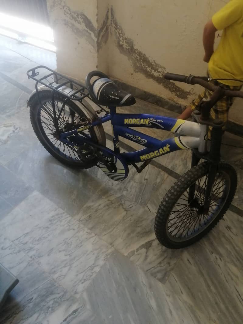 Morgan cycle 2