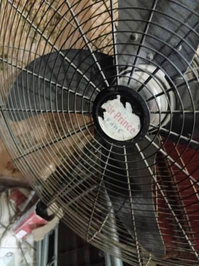 bikul new fan ha