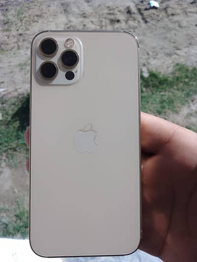 Apple iPhone 12 Pro