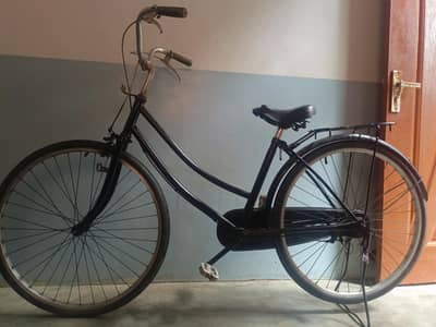 Kalin Bicycle