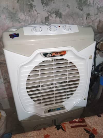 10/10 coolar for sale