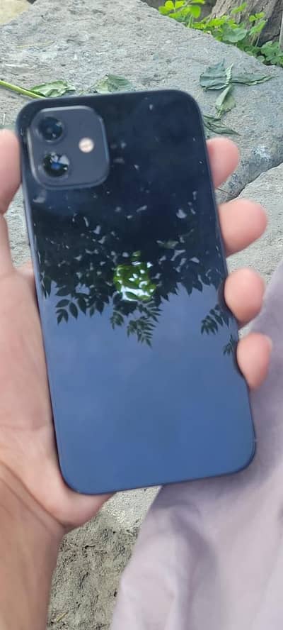 Apple iPhone 12