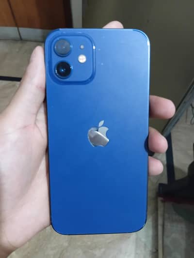 Apple iPhone 12