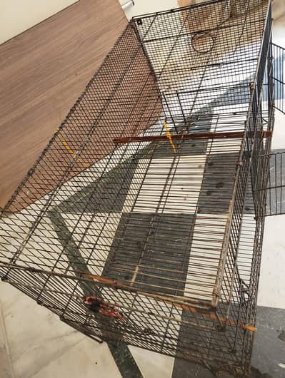 Wide and Large cage for parrots