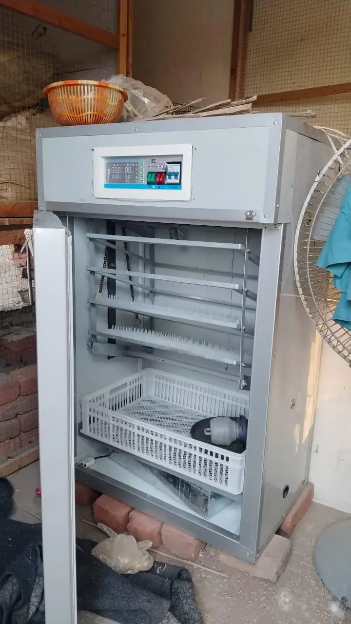 Incubators | Brooders | Spareparts | temperature & humidity controller — photo 8
