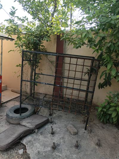 Murghi frosh all itm setup for sale