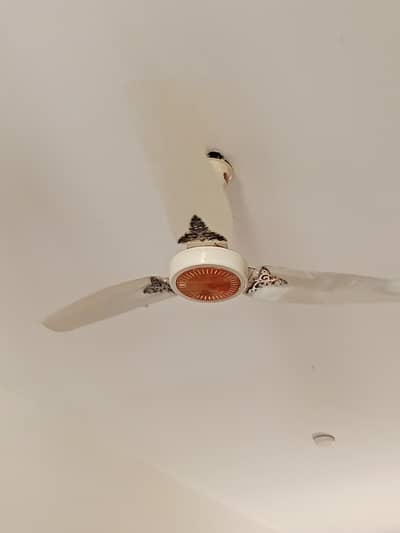 ac fan