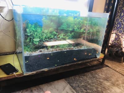 2 feet aquarium > Read add