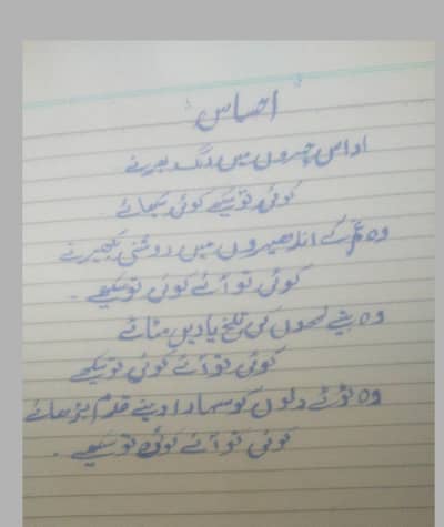 Neat Handwriting assignment article,poetry ,charts, Murree
