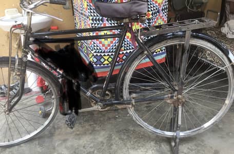 Cycle