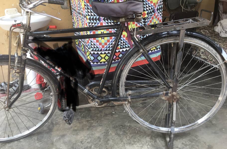 Cycle 0