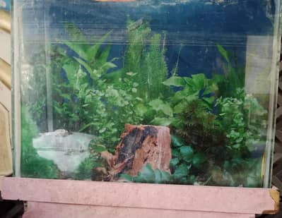Aquarium For Sell