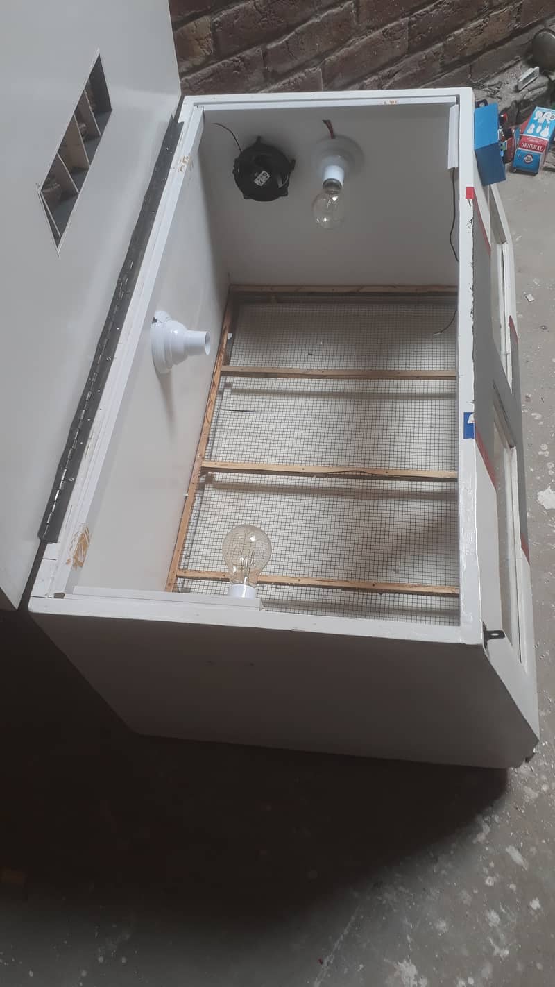 Waterproof Pvc Brooder +100 chicks 2