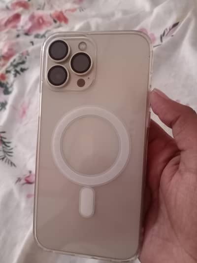 Apple iPhone 13 Pro Max
