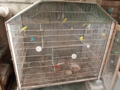 Big Cage