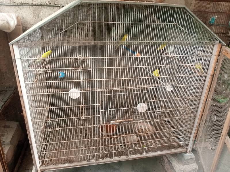 Big Cage 0