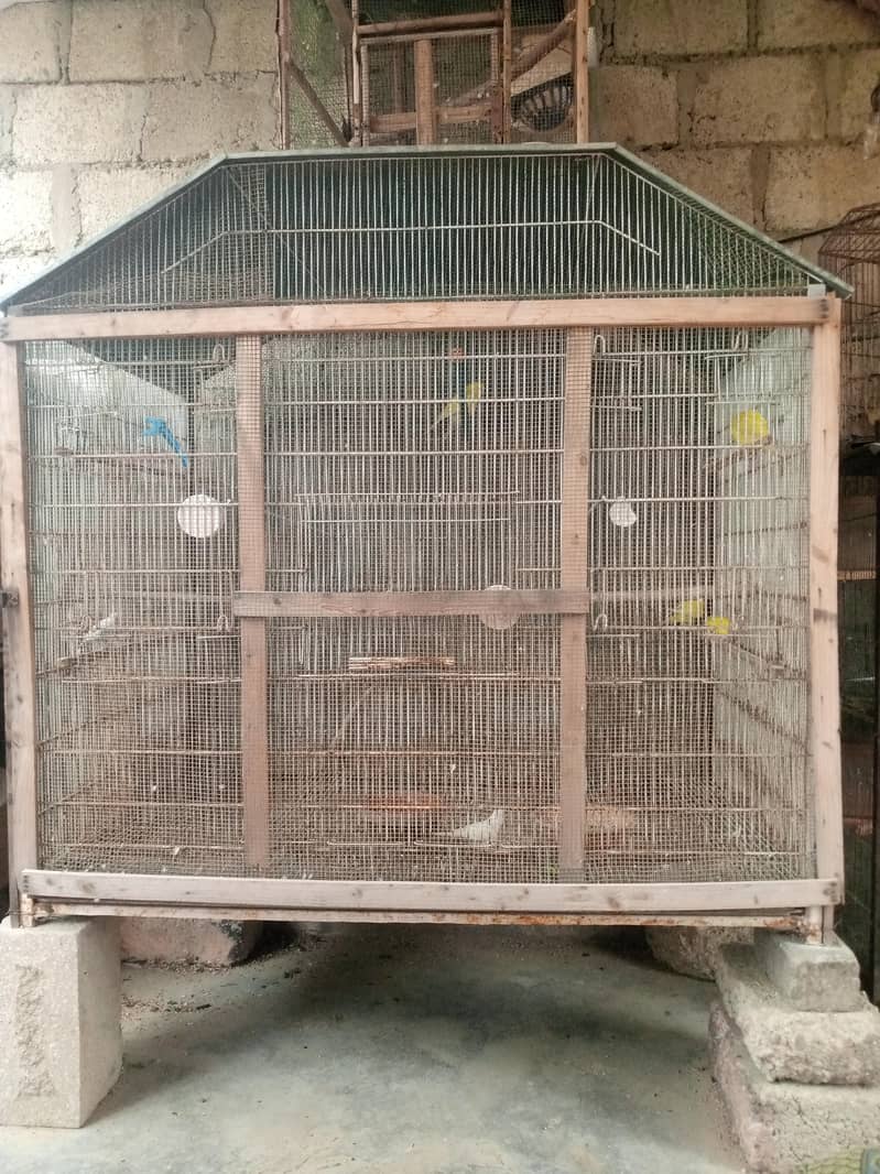 Big Cage 1