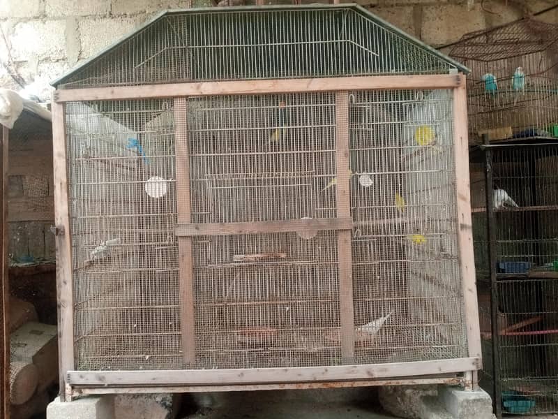 Big Cage 2