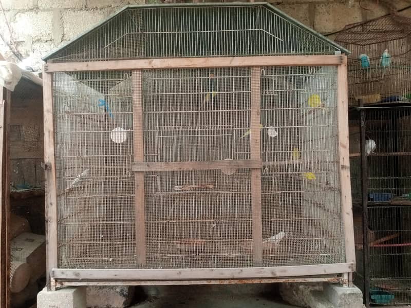 Big Cage 3