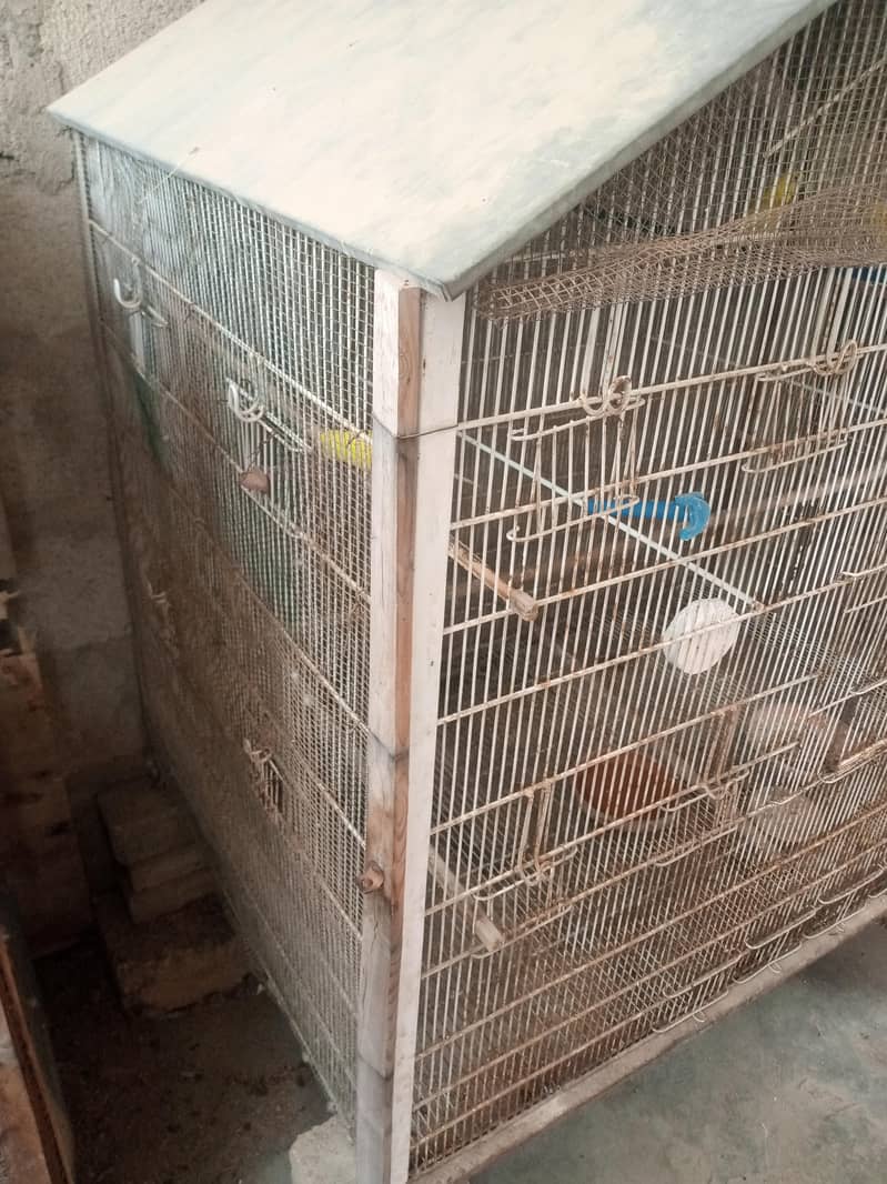 Big Cage 4