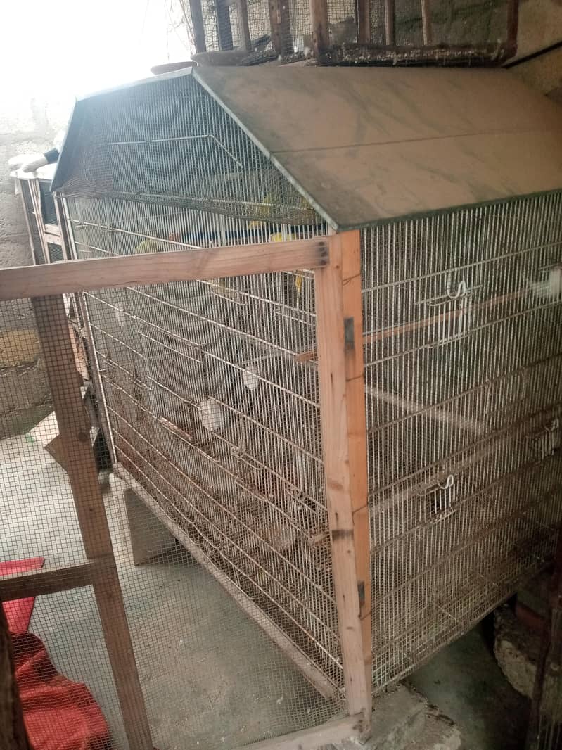 Big Cage 5