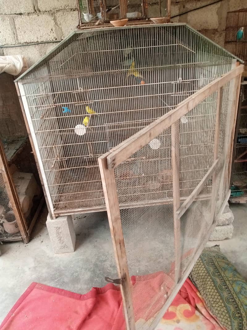 Big Cage 6