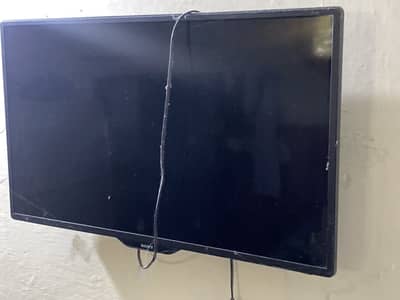 Sony led best 1 year use
