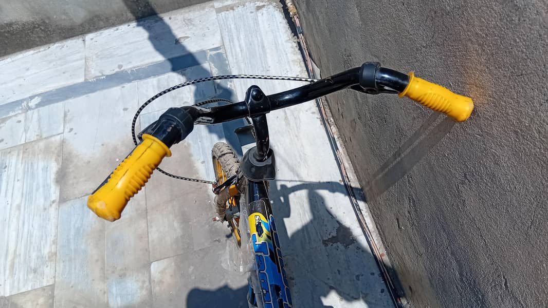 cycle New 7