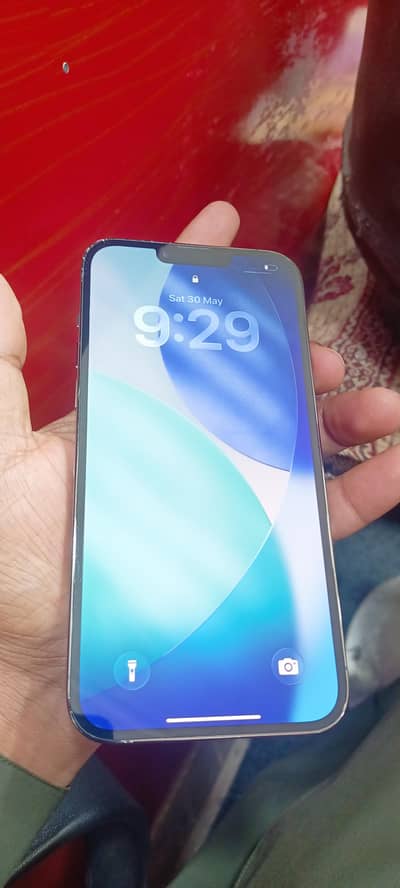 Apple iPhone 13 Pro Max
