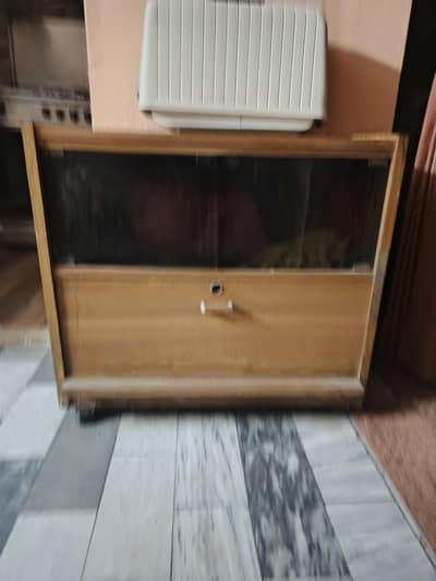 tv, trolkey