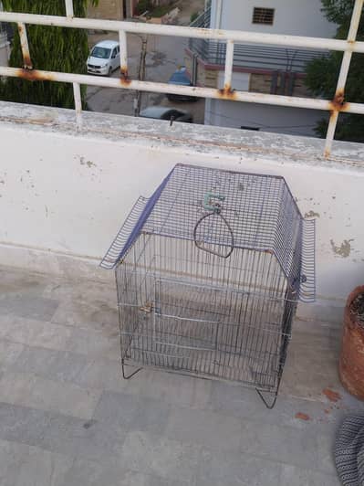 Birds Cage (Pinjara)