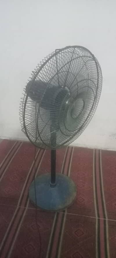 Good fan