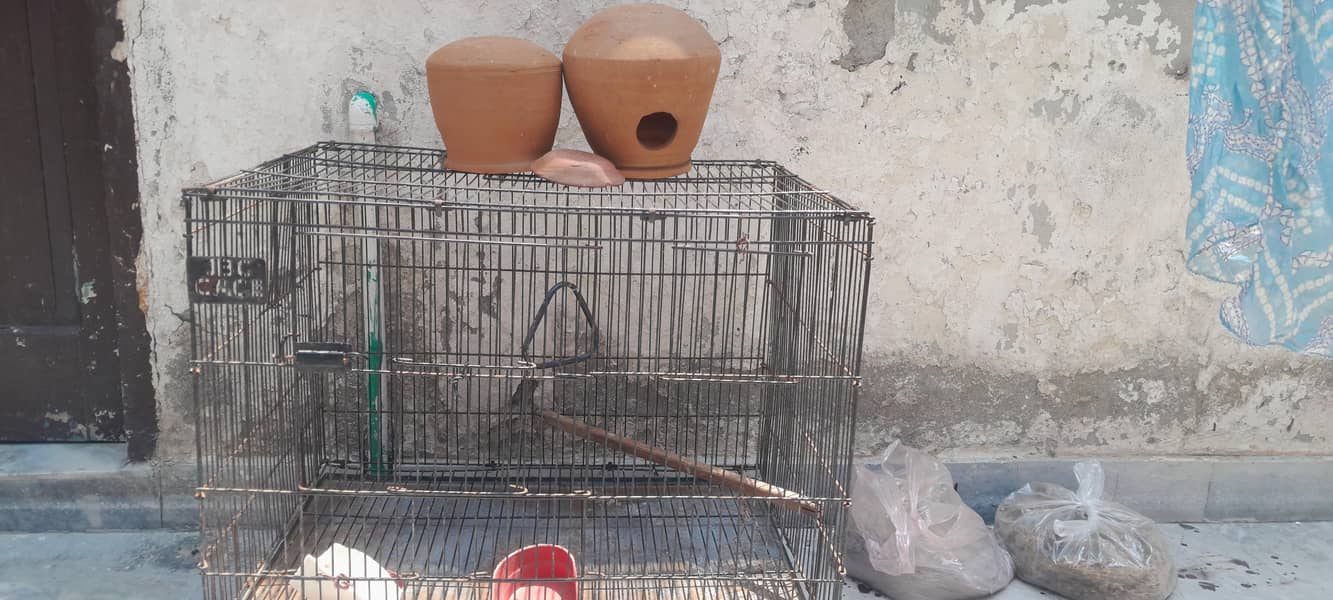 bird cage 0