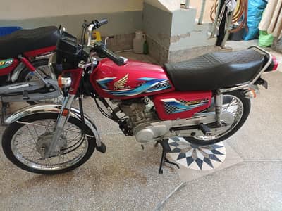 Lush condition bike no any require work urgent sale