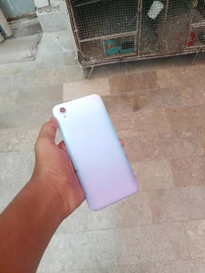 Vivo Y17