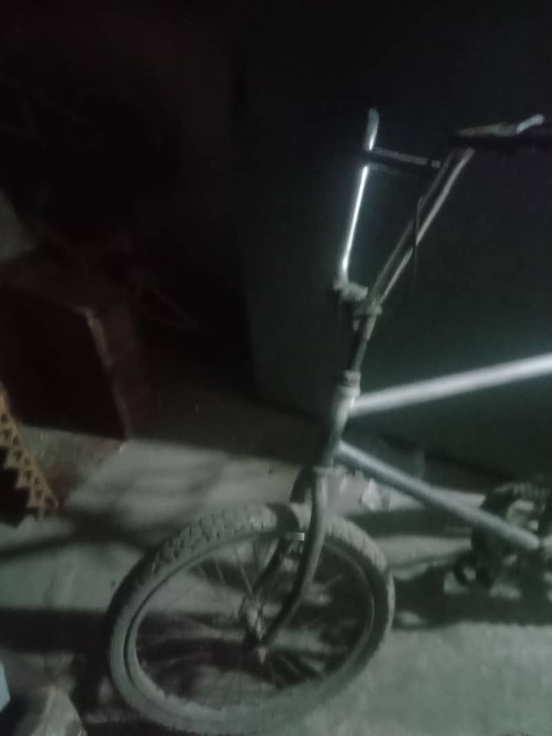 phonex cycle 1