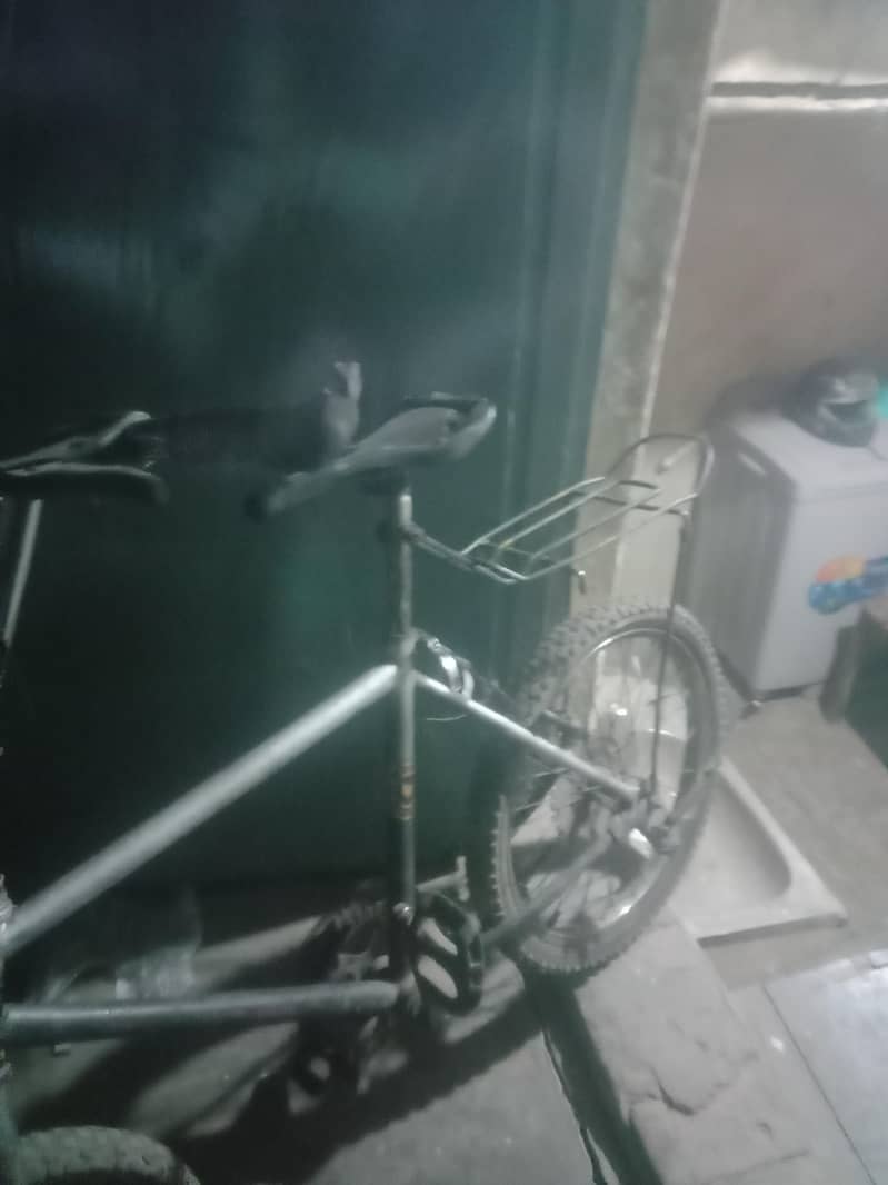 phonex cycle 2