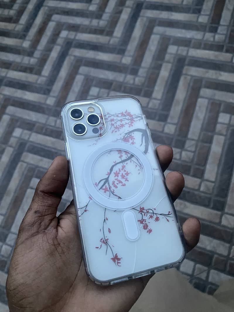 Apple iPhone 12 Pro 0