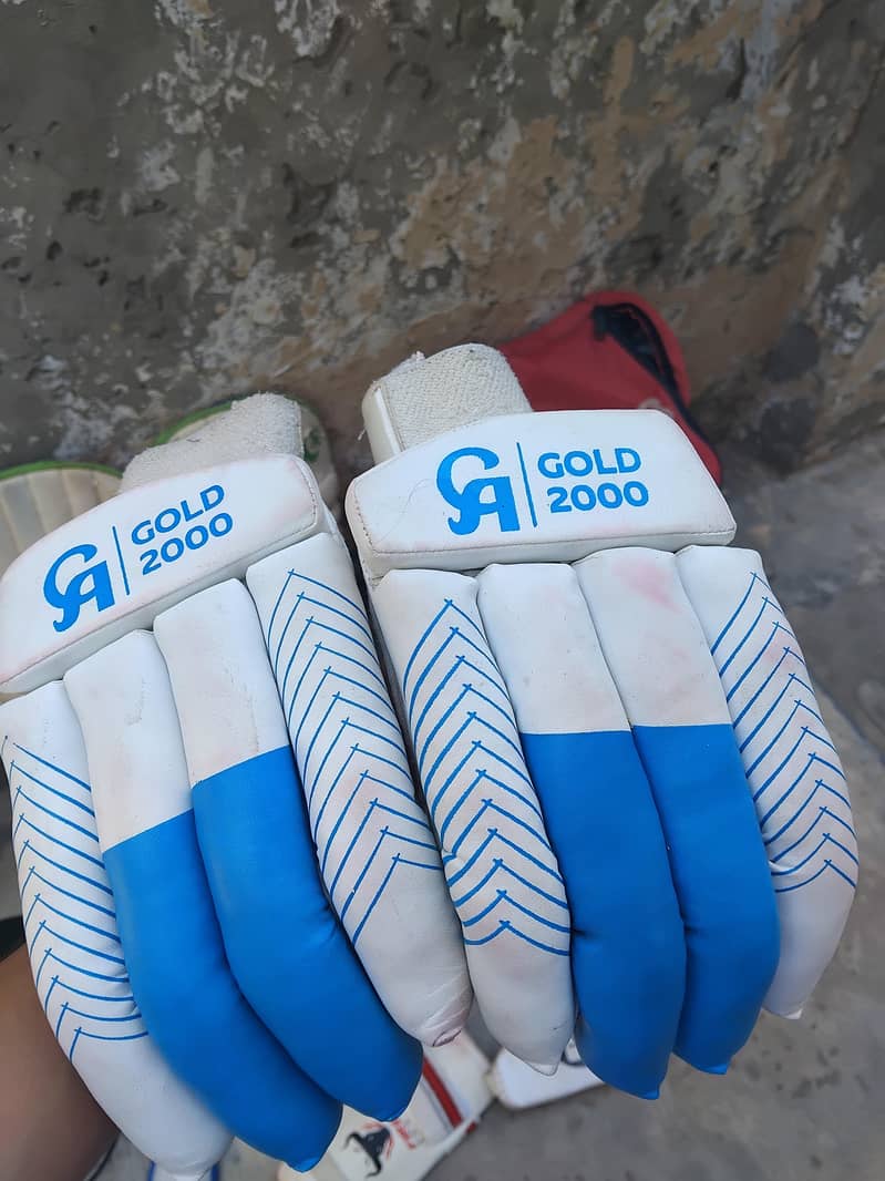 cricket kit 1
