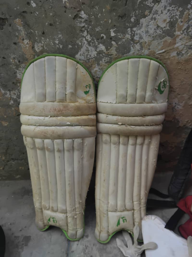 cricket kit 4